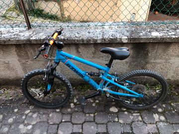 Bicicletta da 20 pollici