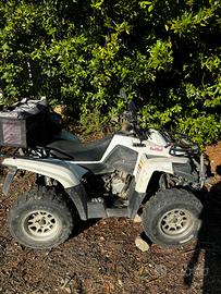 Quad Acces 400