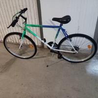 Bici MTB