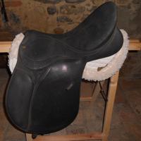 2 selle Wintec perfette usate pochissimo