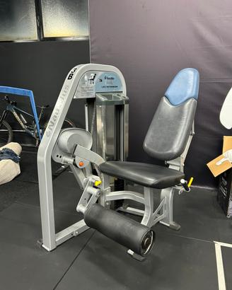 Nautilus Leg Extension