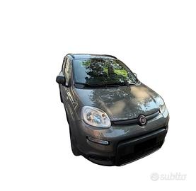 Panda 4x4 wild