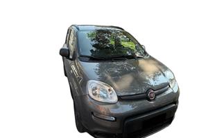 Panda 4x4 wild