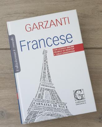 dizionario 