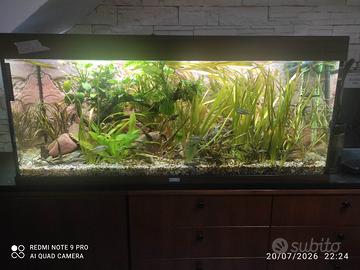 Acquario Juwel rio 240