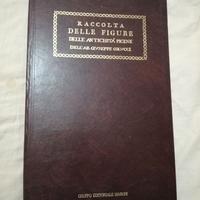 Libro storico antichità Picene