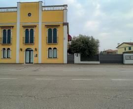 Magazzino a Codevigo (PD) - Conche