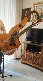 Chitarra-arpa antica
