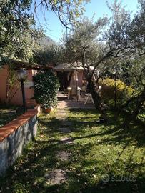 Casa con giardino davanti al mare a Maratea