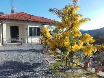 Villa con panorama su ampio uliveto di proprietà