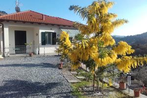 Villa con panorama su ampio uliveto di proprietà