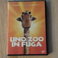 Uno zoo in fuga DVD