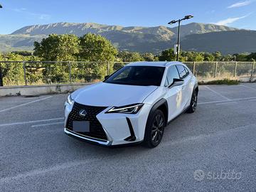 Lexus ux250h premium