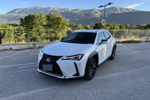 Lexus ux250h premium
