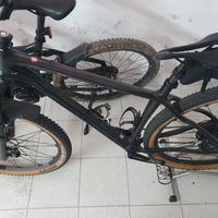 BMtb Bianchi Methanol