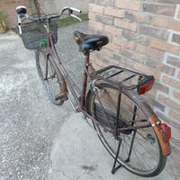 bicicletta holland 