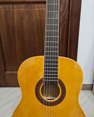 Chitarra Eko