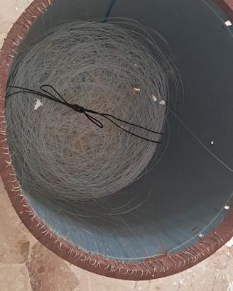 CUENZI/PALAMITI