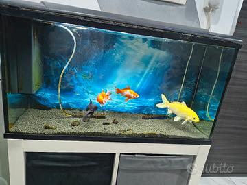 acquario 96 litri completo di mobile 