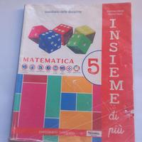 Libro Insieme di più 5 Matematica