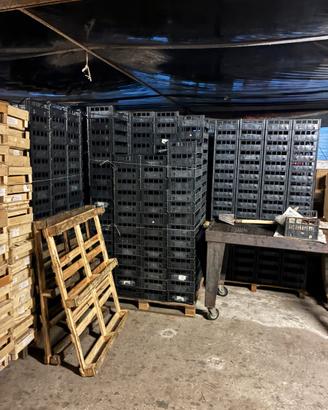 Cassette in plastica