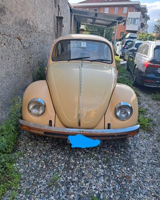 Maggiolino 11D11 