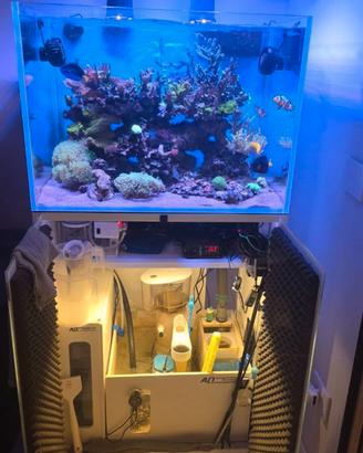 Acquario marino 70x50x50