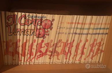 libri esplorando il corpo umano