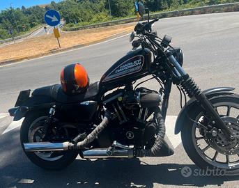 harley davidson  sportster 883R
