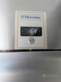 Freezer verticale professionale