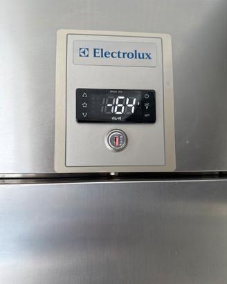 Freezer verticale professionale