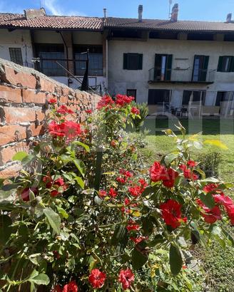 Rustico/Casale/Corte Vische [Cod. rif 3337167VRG]