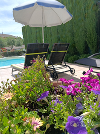 Last minute Assisi dal 29 giugno al 6 luglio