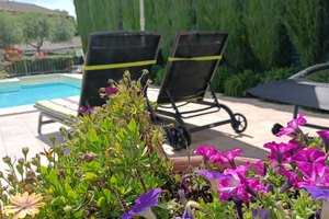 Last minute Assisi dal 29 giugno al 6 luglio