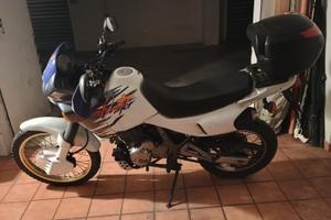 Honda Dominator 650cc