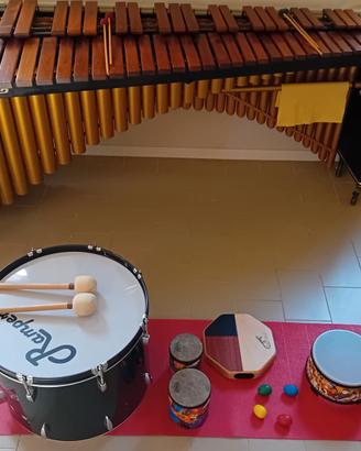 Marimba Musser M250