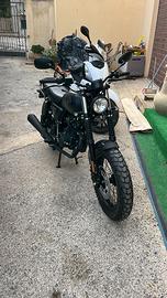 Archive Motorcycle Scrambler 50 - 2023