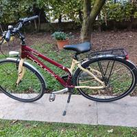 Bici donna Lee Cougan