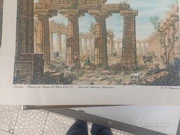 Stampa artistica “Paestum – Interno del Tempio di