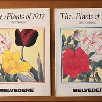 The Plants of 1917. Spring (volume uno e due)