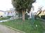 Immagine 11