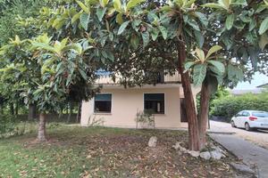 Casa singola con due appartamenti