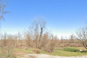 Immobile in asta di 25225 m² con più di 5 locali a