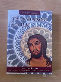 Tu sei la Nostra Gioia di Domenico Sorrentino