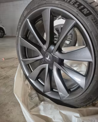 Cerchi Tesla performance "19  gommati Michelin