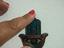 Immagine 3