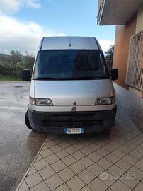 ducato 