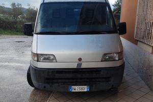 ducato 