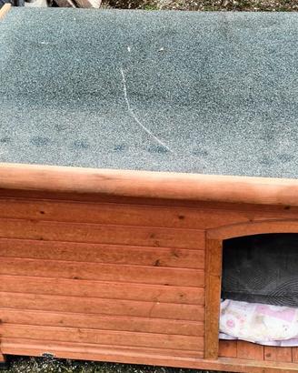 Cuccia cane