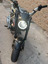 Lem brutus 110